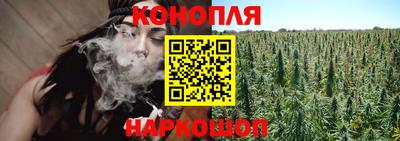 крисы Будённовск