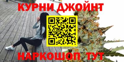 крисы Будённовск