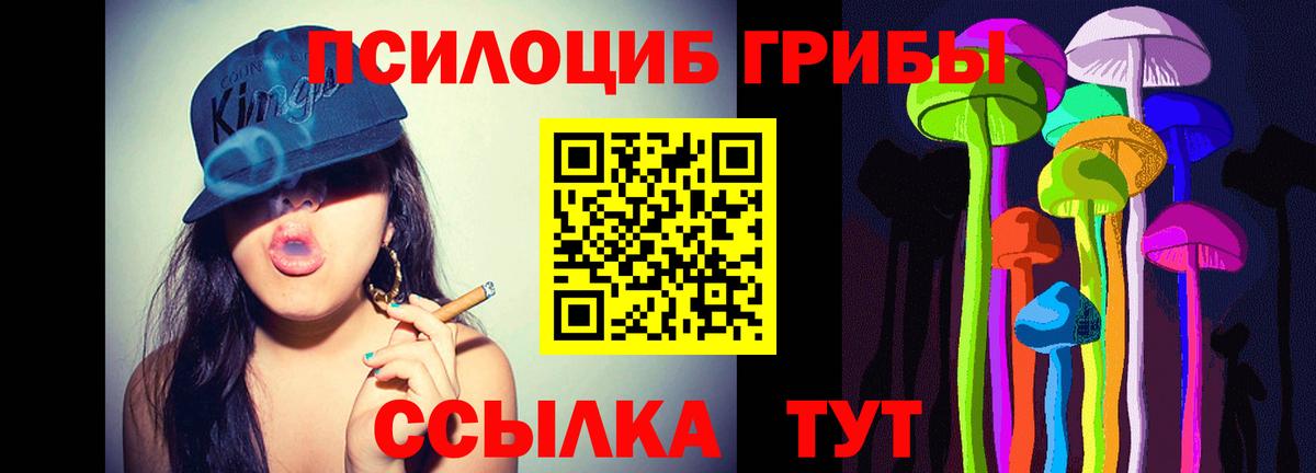 Ирбит  Псилоцибиновые грибы Psilocybine cubensis  Вход с VPN 